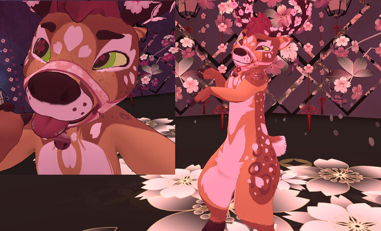 Blawssom Spring Contest Winner