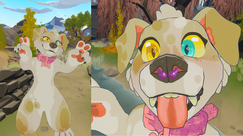 Personal Skip4D Puppy